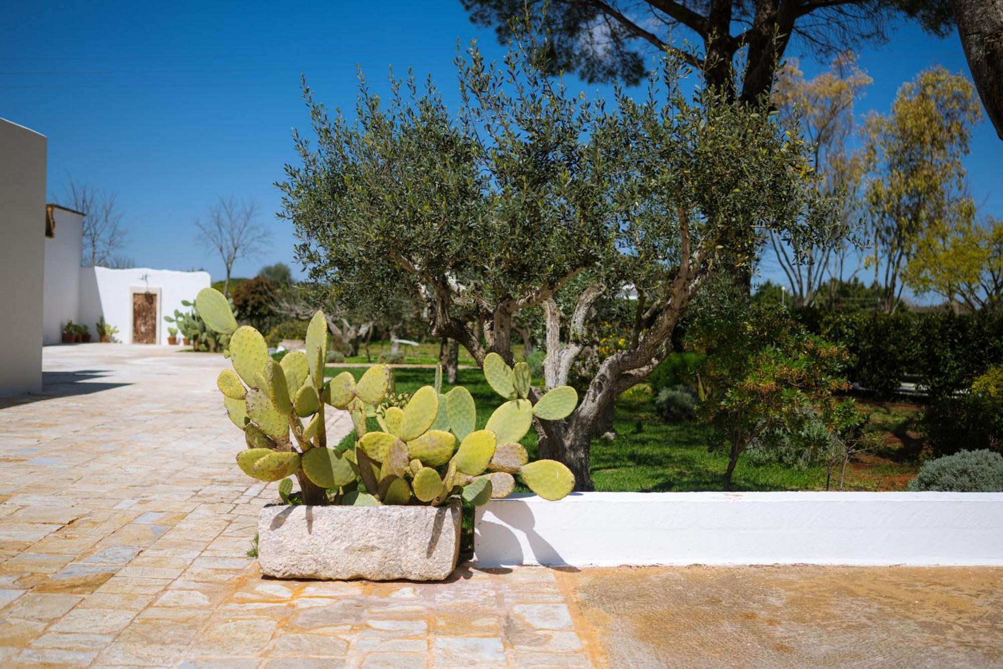 Masseria San Michele Martina Franca Zewnętrze zdjęcie